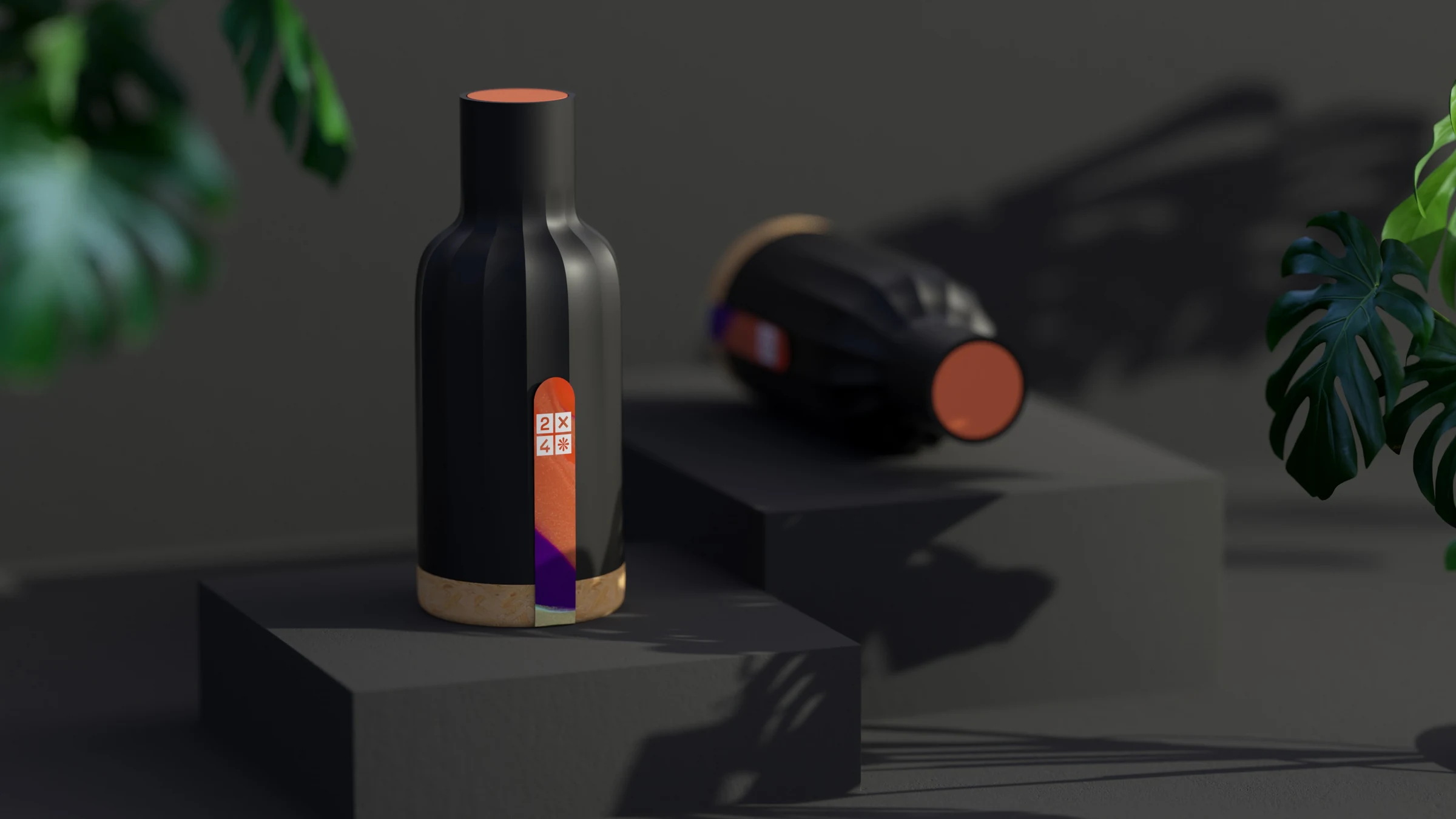 2X4 package design rendering 2