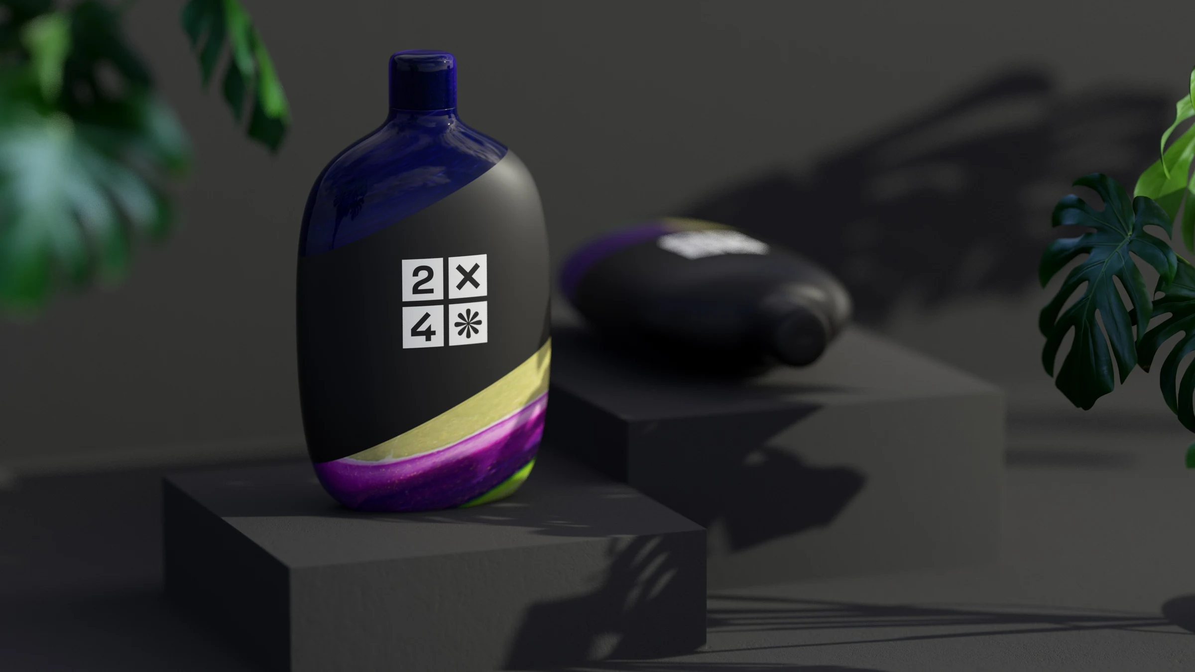 2X4 package design rendering 3