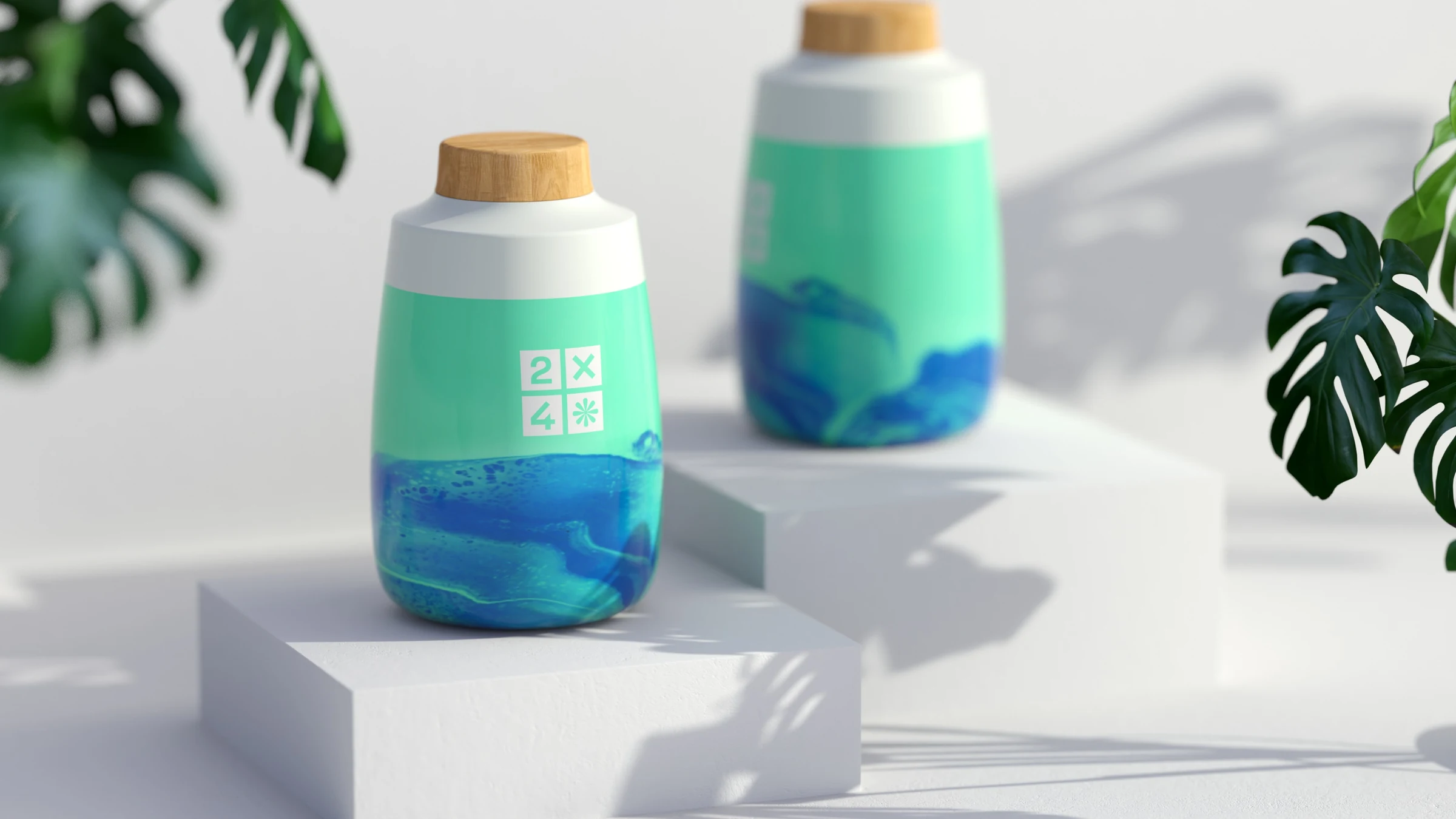 2X4 package design rendering 4