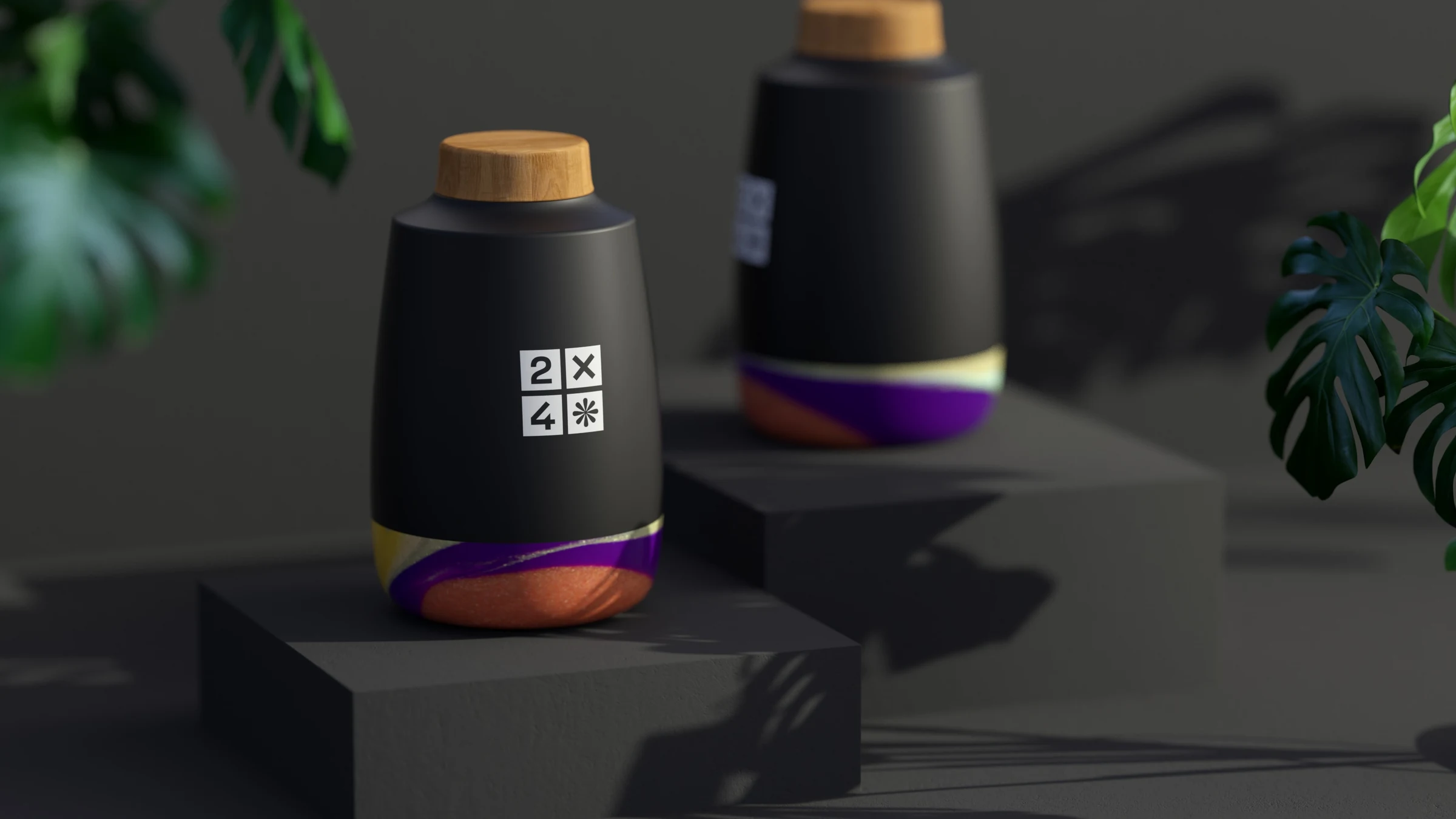 2X4 package design rendering 5