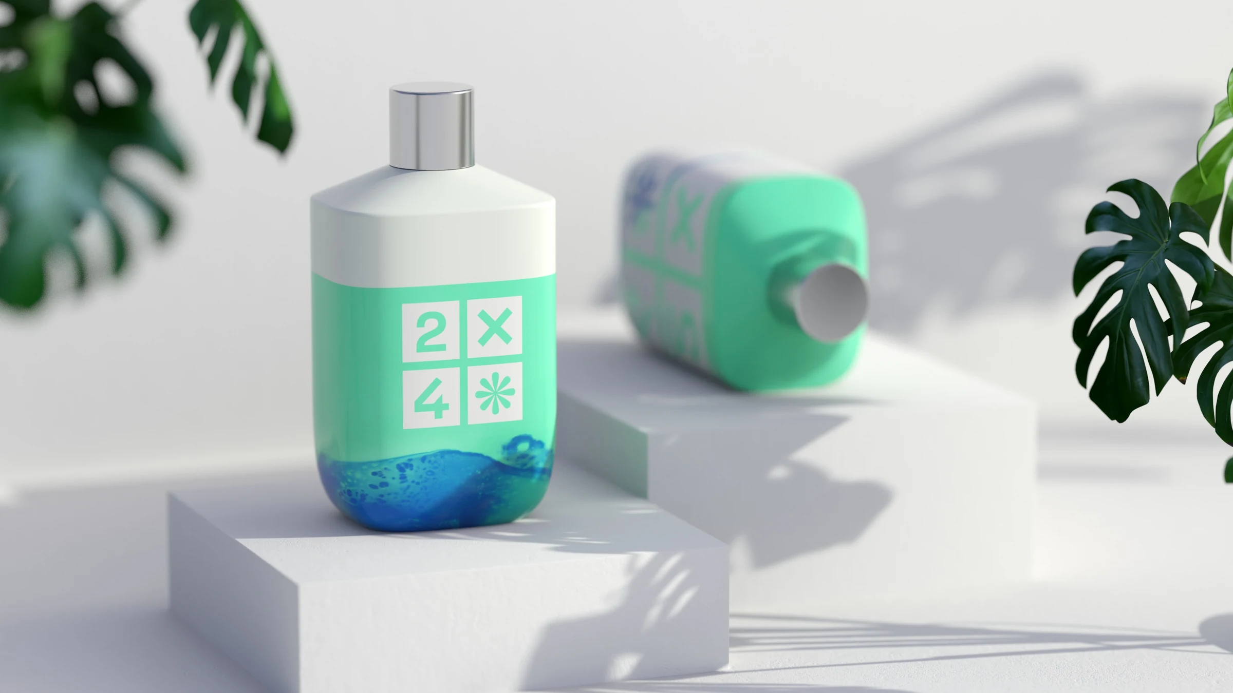 2X4 package design rendering 6