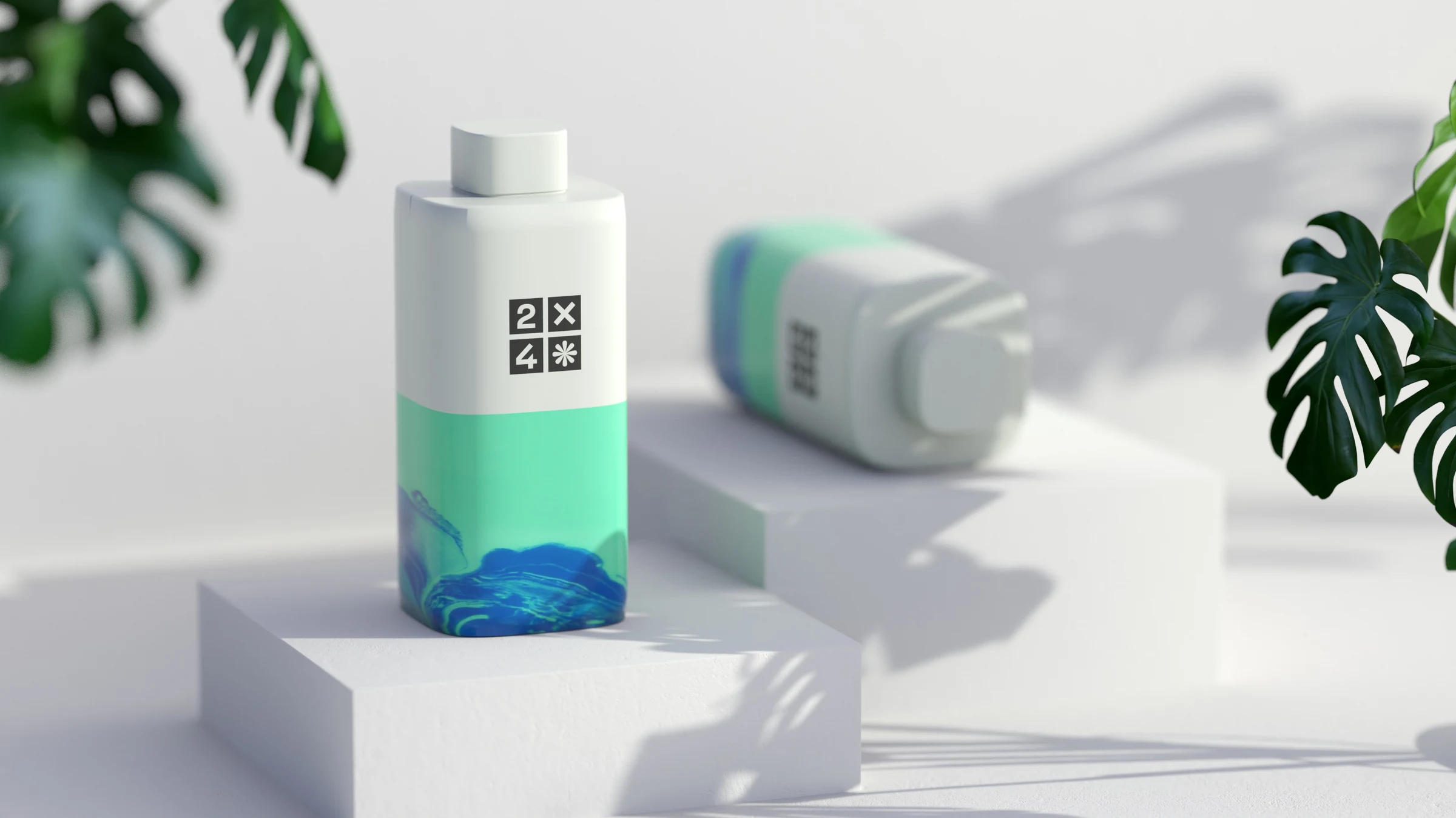 2X4 package design rendering 8