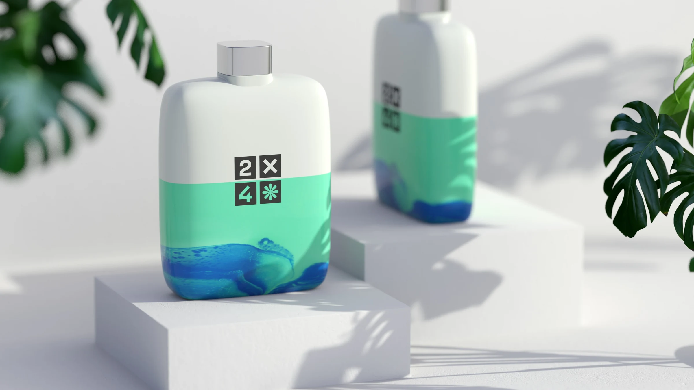 2X4 package design rendering 9