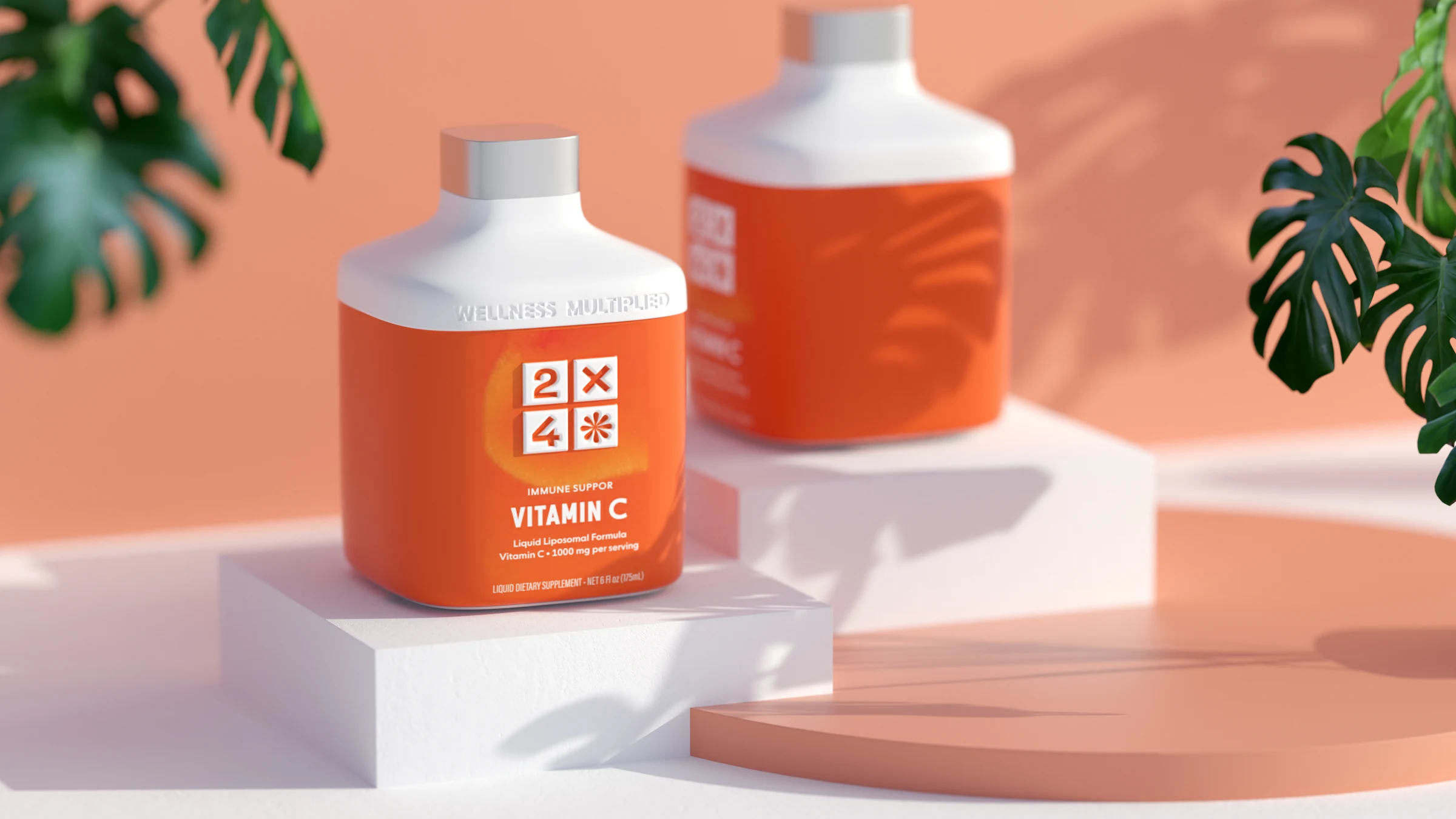 2X4 package design rendering 11
